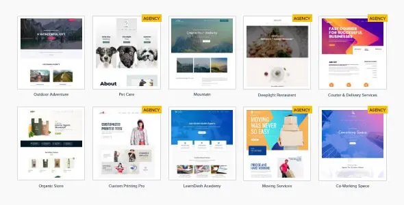 دانلود رایگان افزونه آسترا پرمیوم استارتر تمپلیت سایت - پلاگین astra premium sites