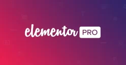 elementor-pro
